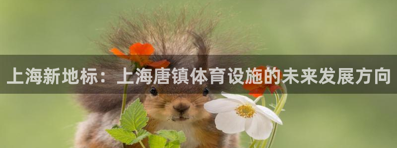 尊龙凯时防屏蔽网址