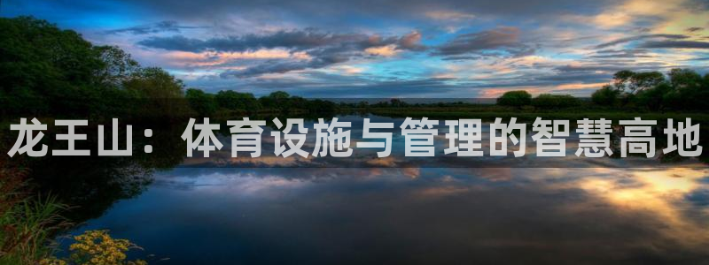 尊龙手机官方客户端下载安装